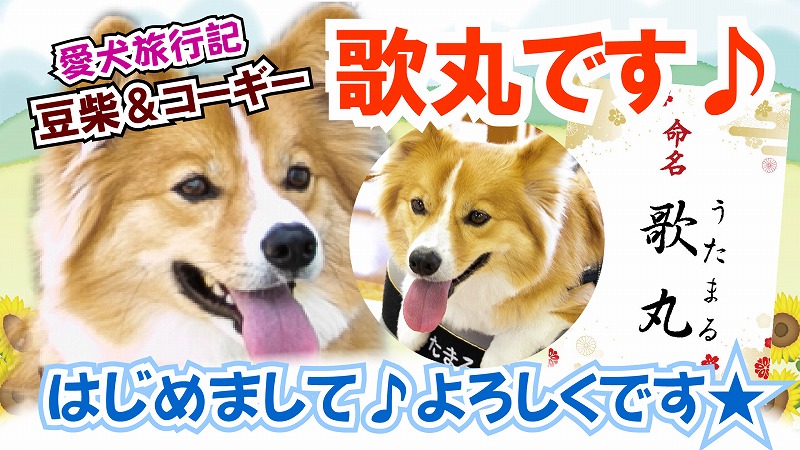 うたまる放送局