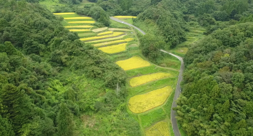 オープニングムービー製作